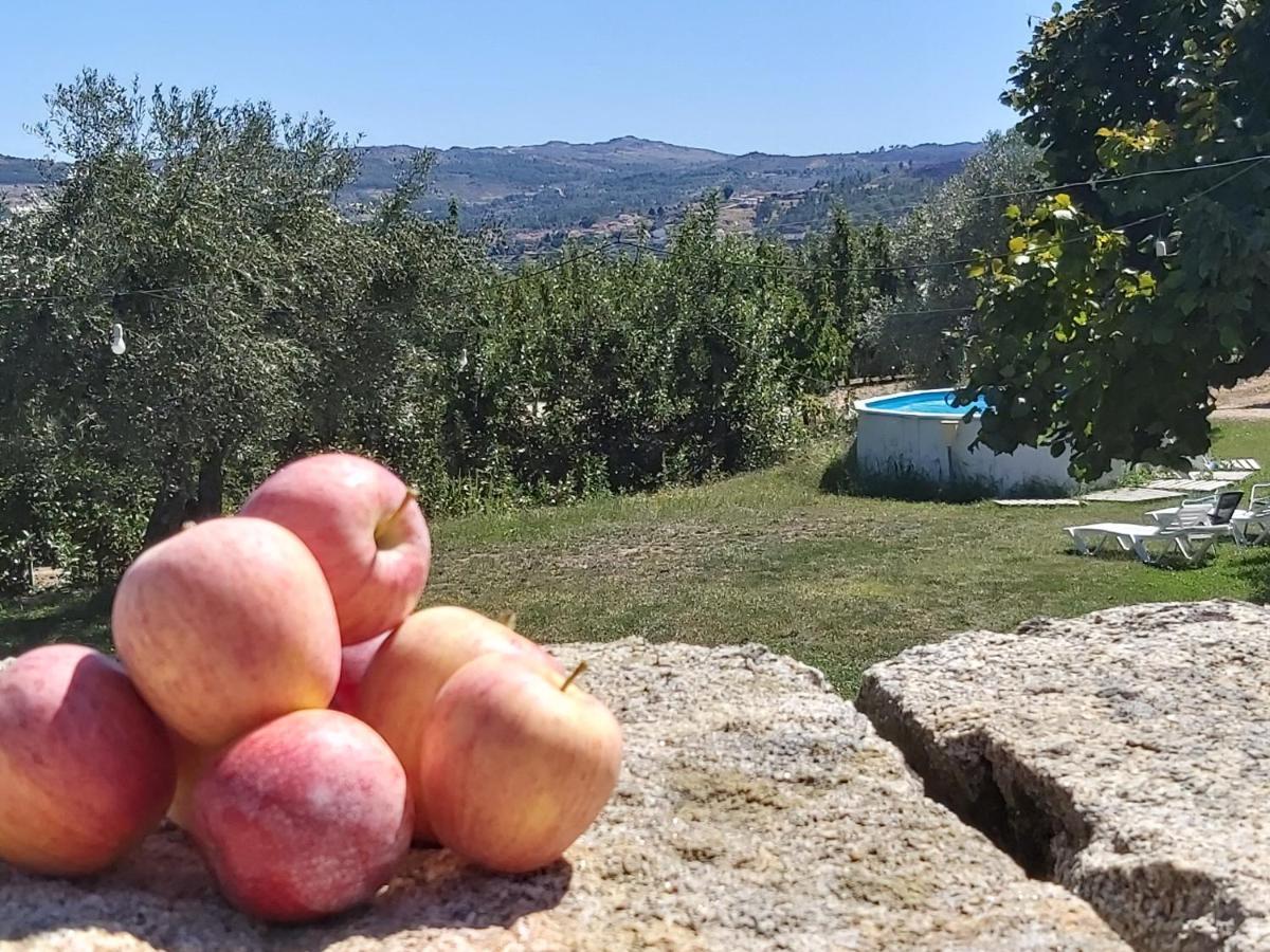 Casa Do Feitor - Douro - Quinta Da Cabrida Βίλα Sendim  Εξωτερικό φωτογραφία