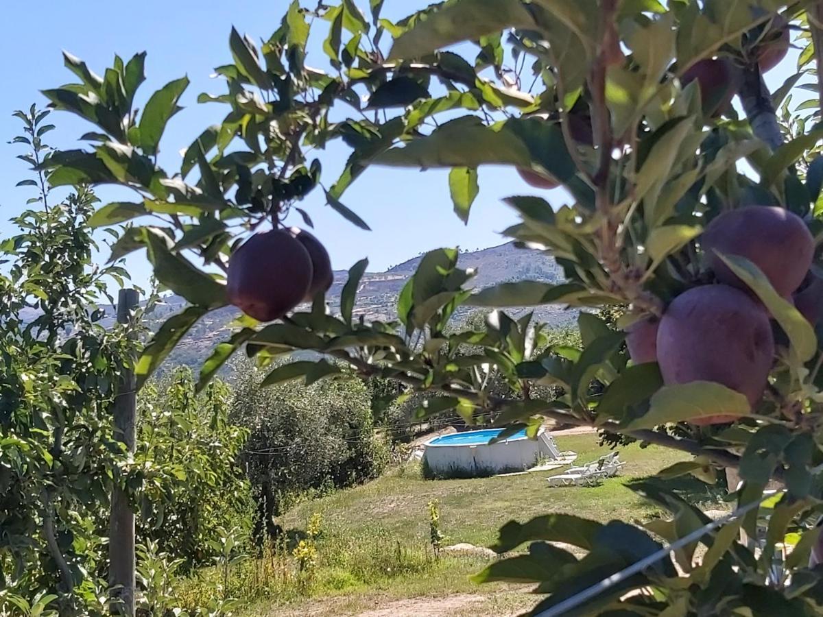 Casa Do Feitor - Douro - Quinta Da Cabrida Βίλα Sendim  Εξωτερικό φωτογραφία