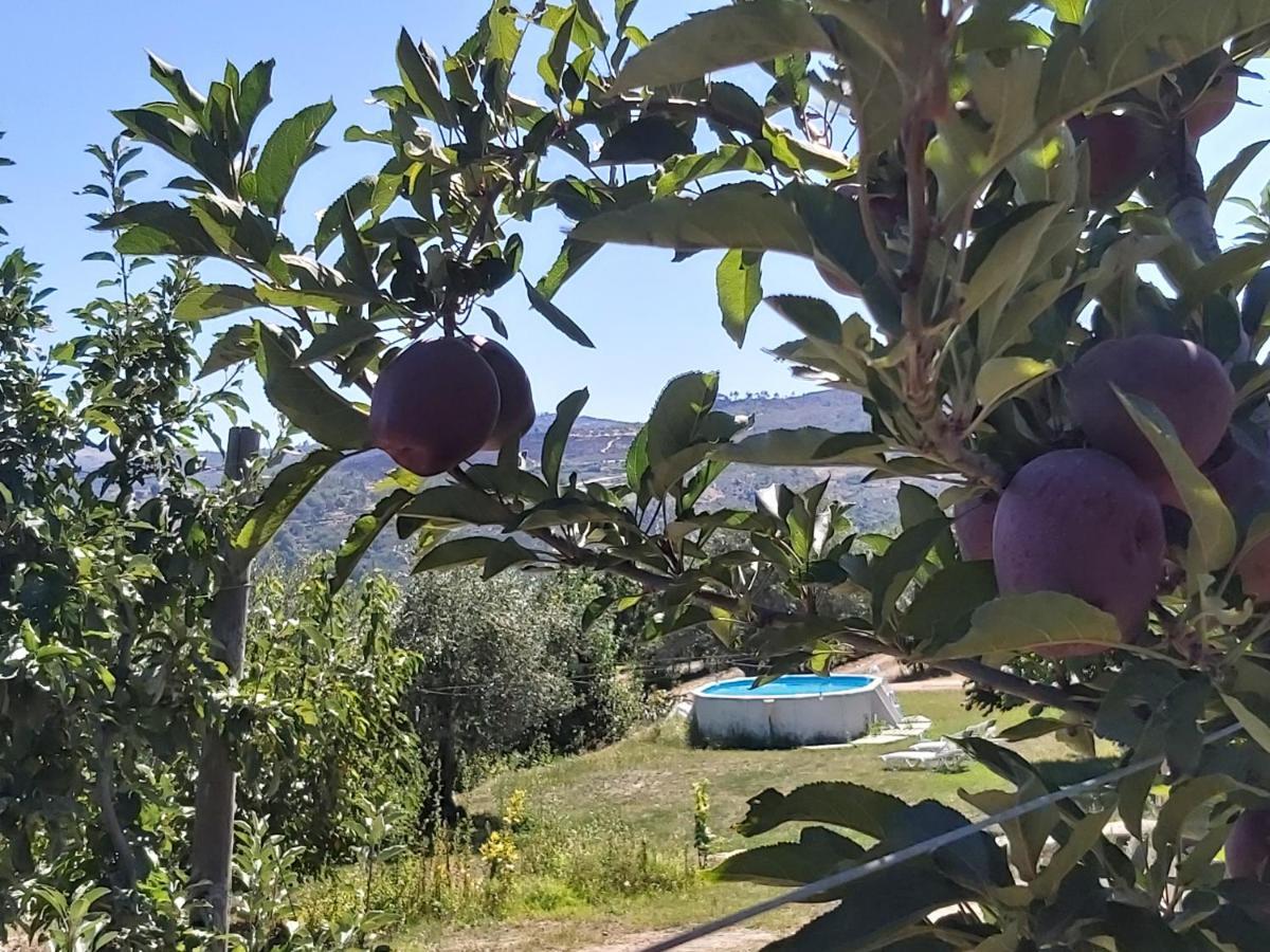 Casa Do Feitor - Douro - Quinta Da Cabrida Βίλα Sendim  Εξωτερικό φωτογραφία