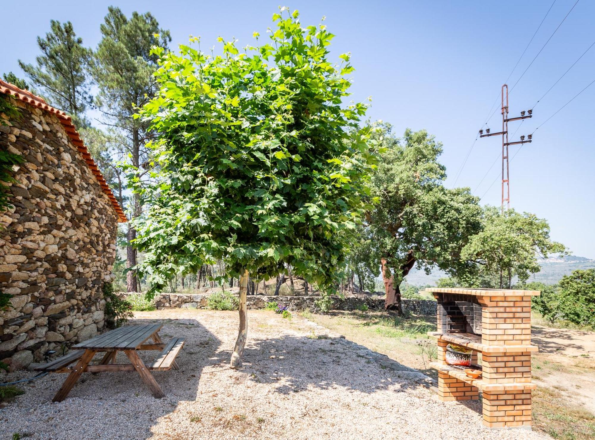 Casa Do Feitor - Douro - Quinta Da Cabrida Βίλα Sendim  Εξωτερικό φωτογραφία