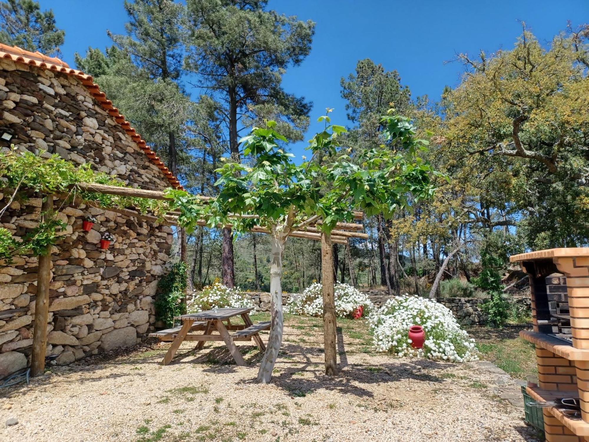 Casa Do Feitor - Douro - Quinta Da Cabrida Βίλα Sendim  Εξωτερικό φωτογραφία