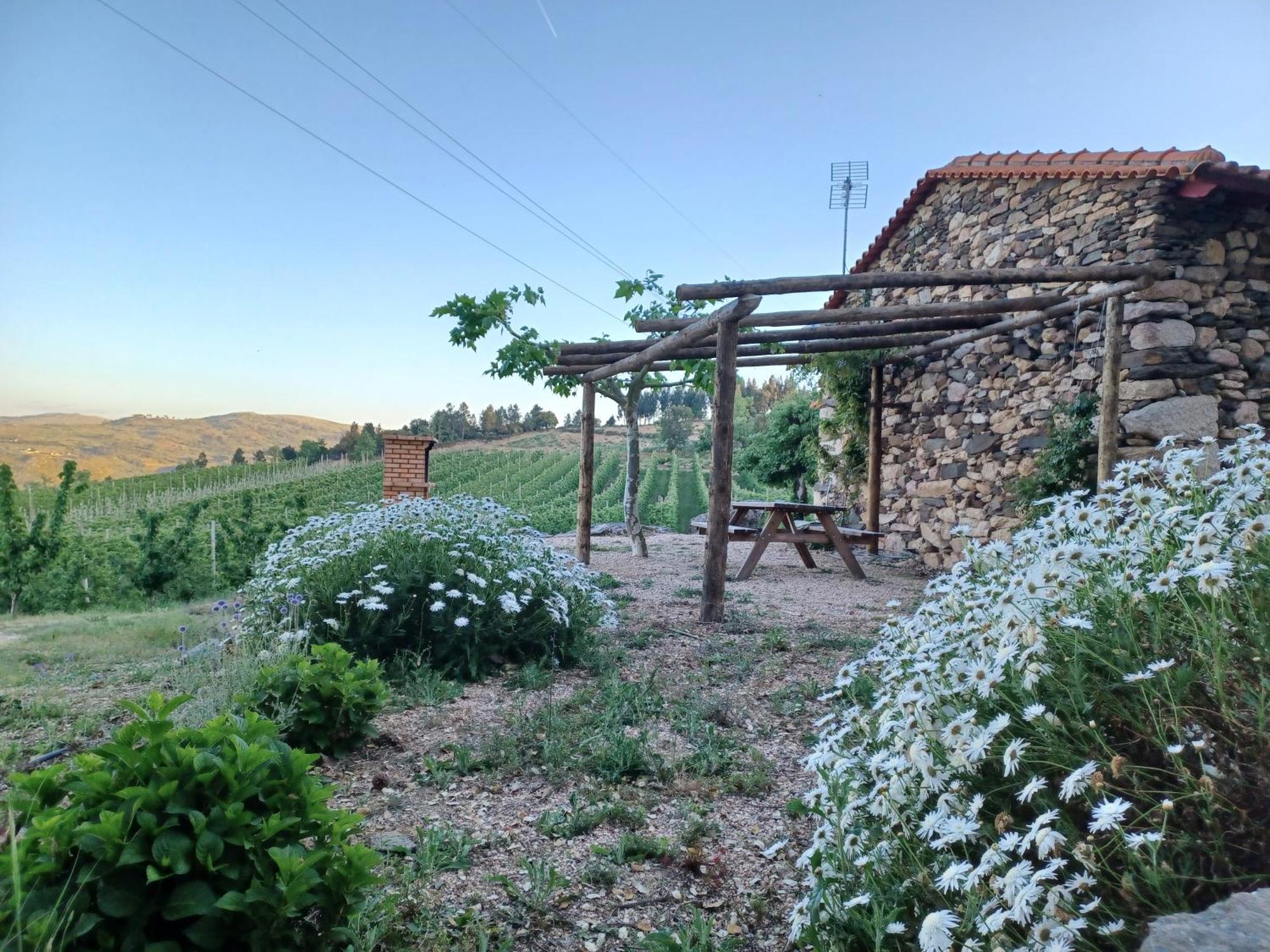 Casa Do Feitor - Douro - Quinta Da Cabrida Βίλα Sendim  Εξωτερικό φωτογραφία