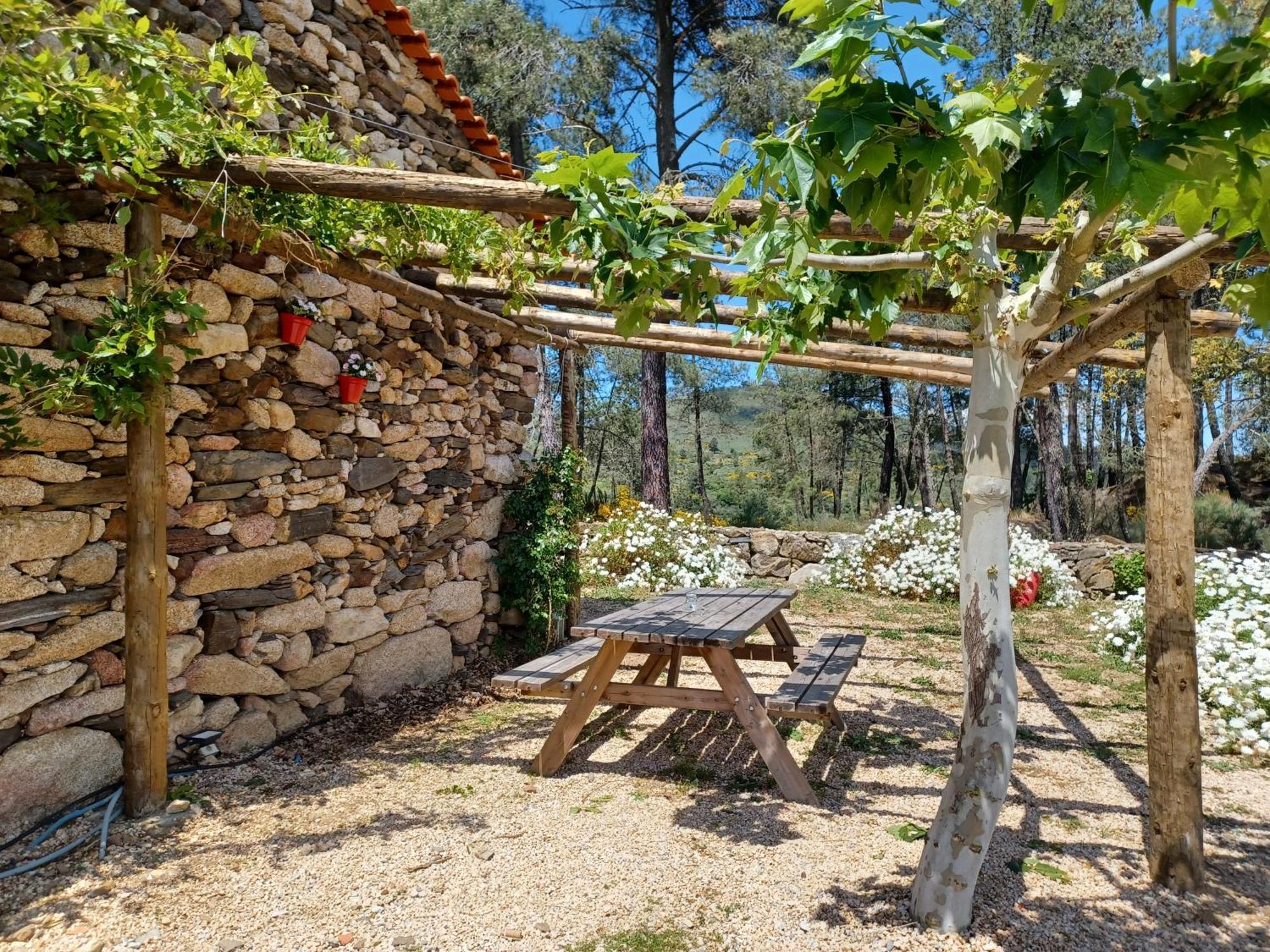 Casa Do Feitor - Douro - Quinta Da Cabrida Βίλα Sendim  Εξωτερικό φωτογραφία