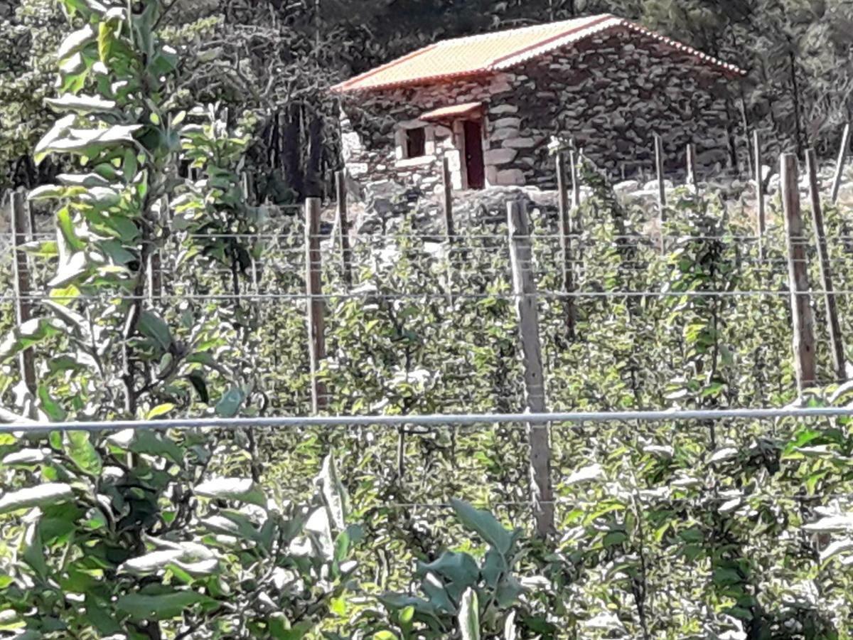 Casa Do Feitor - Douro - Quinta Da Cabrida Βίλα Sendim  Εξωτερικό φωτογραφία