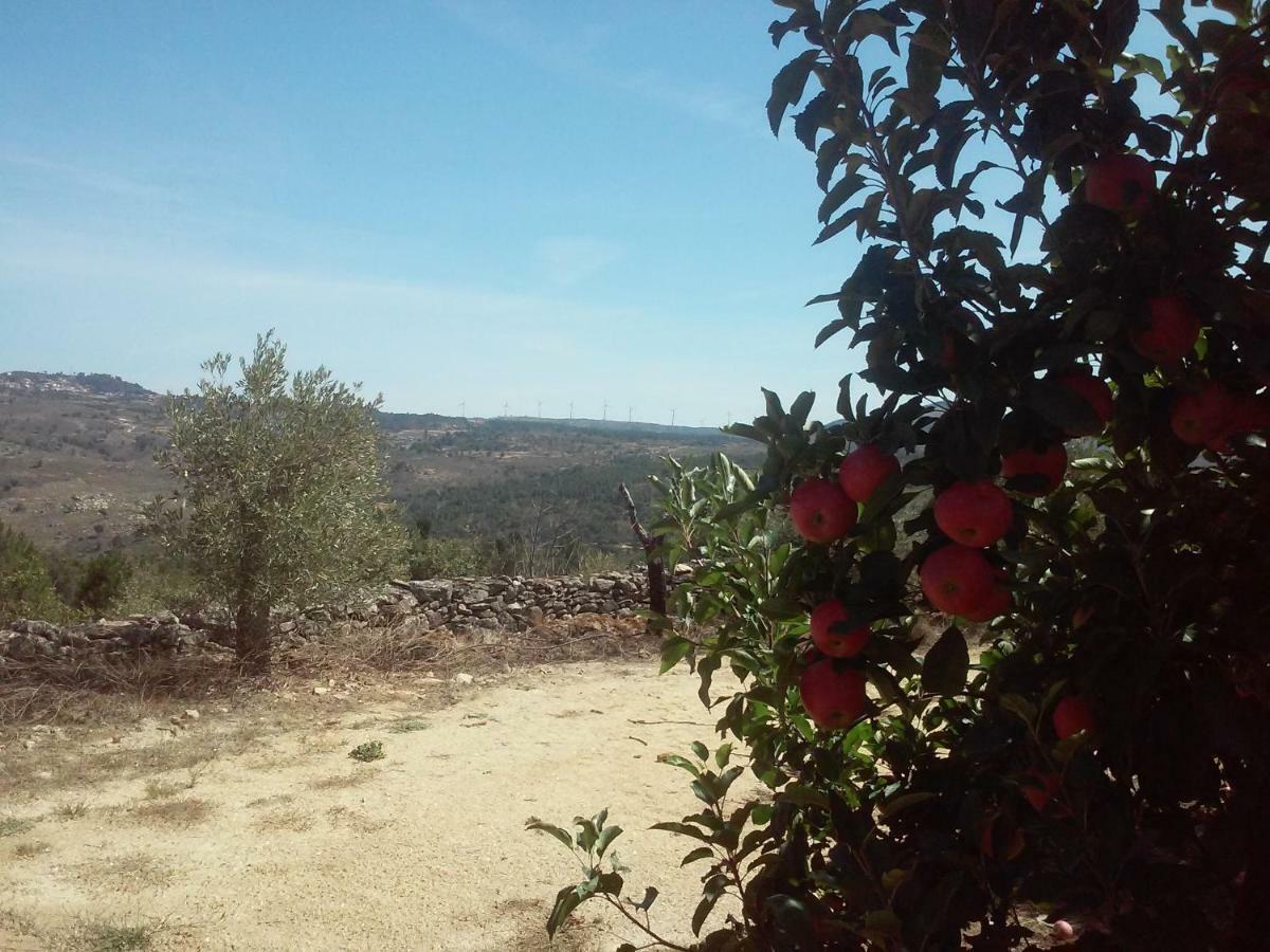 Casa Do Feitor - Douro - Quinta Da Cabrida Βίλα Sendim  Εξωτερικό φωτογραφία