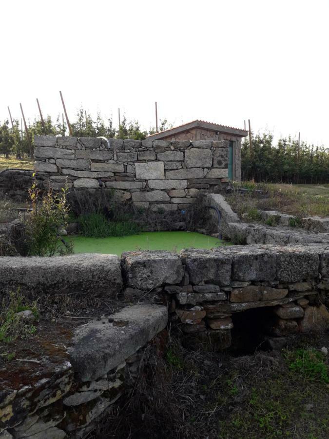 Casa Do Feitor - Douro - Quinta Da Cabrida Βίλα Sendim  Εξωτερικό φωτογραφία