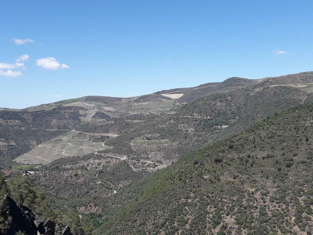 Casa Do Feitor - Douro - Quinta Da Cabrida Βίλα Sendim  Εξωτερικό φωτογραφία