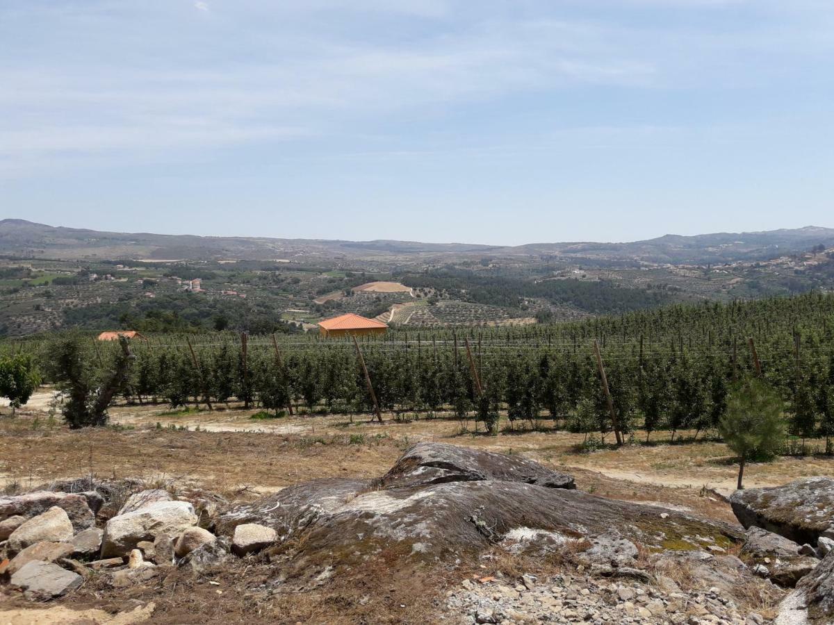 Casa Do Feitor - Douro - Quinta Da Cabrida Βίλα Sendim  Εξωτερικό φωτογραφία