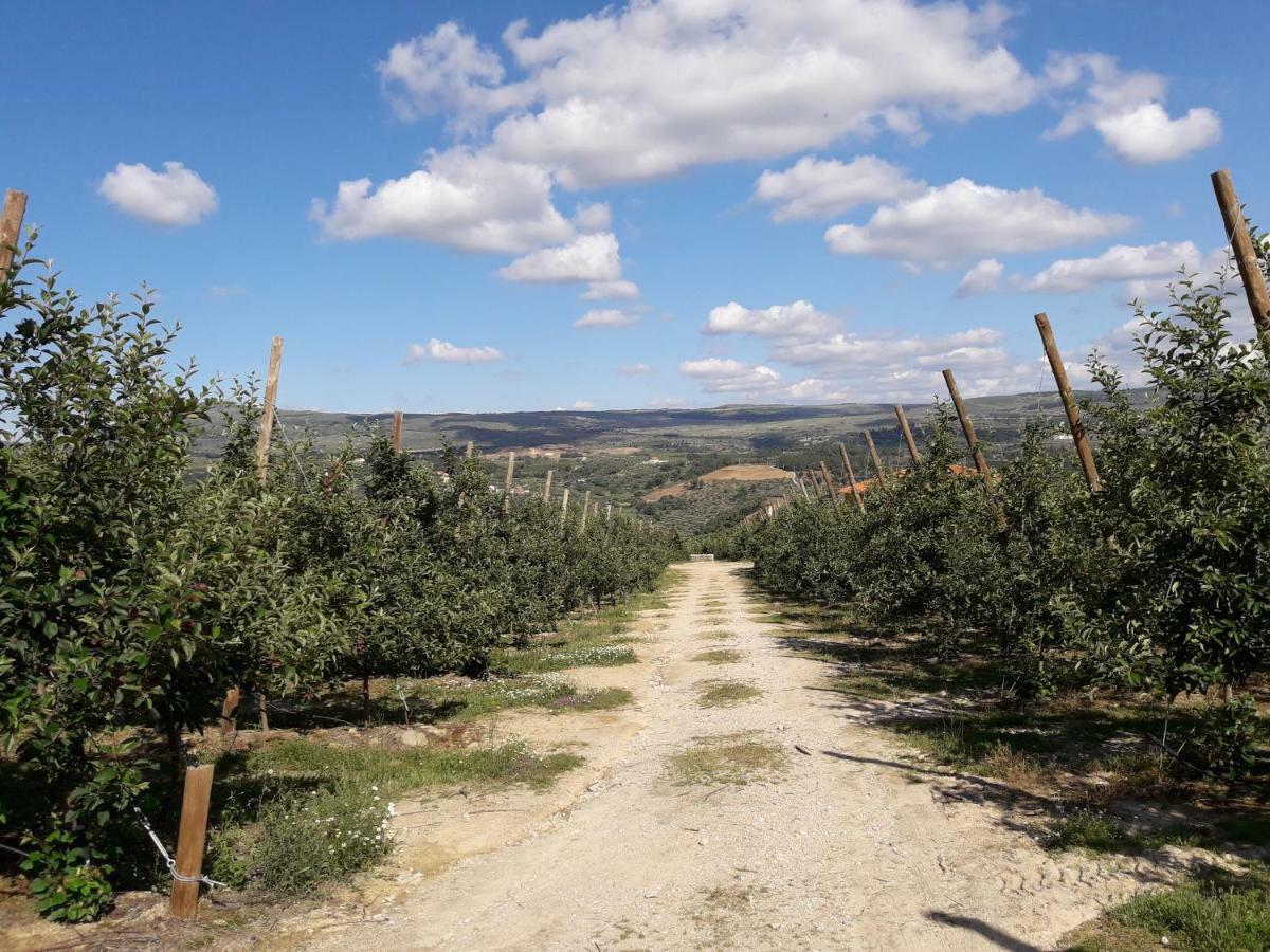 Casa Do Feitor - Douro - Quinta Da Cabrida Βίλα Sendim  Εξωτερικό φωτογραφία
