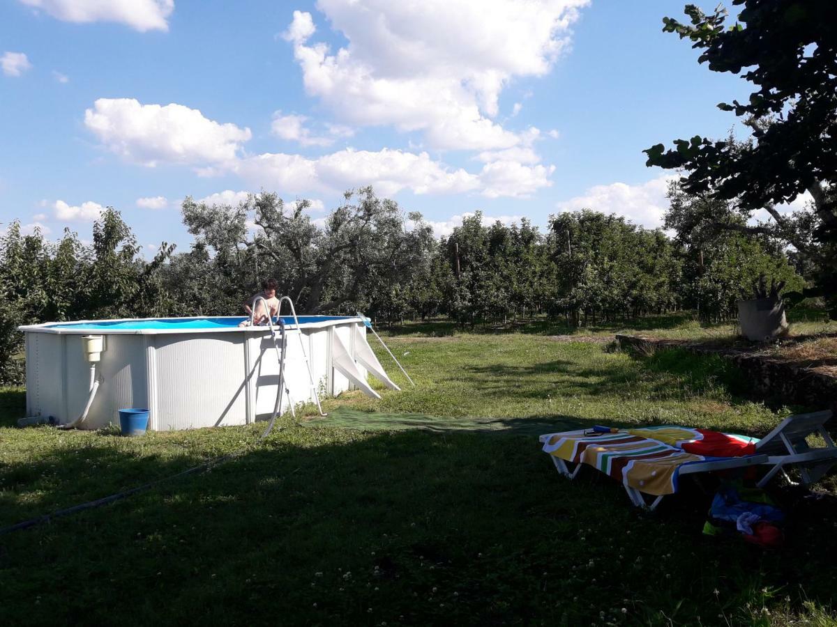 Casa Do Feitor - Douro - Quinta Da Cabrida Βίλα Sendim  Εξωτερικό φωτογραφία