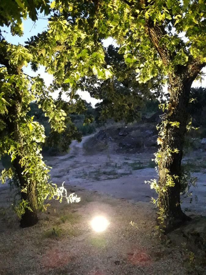 Casa Do Feitor - Douro - Quinta Da Cabrida Βίλα Sendim  Εξωτερικό φωτογραφία