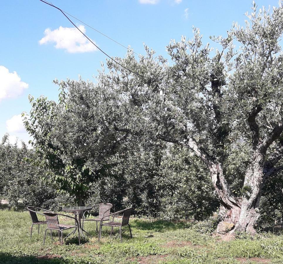 Casa Do Feitor - Douro - Quinta Da Cabrida Βίλα Sendim  Εξωτερικό φωτογραφία