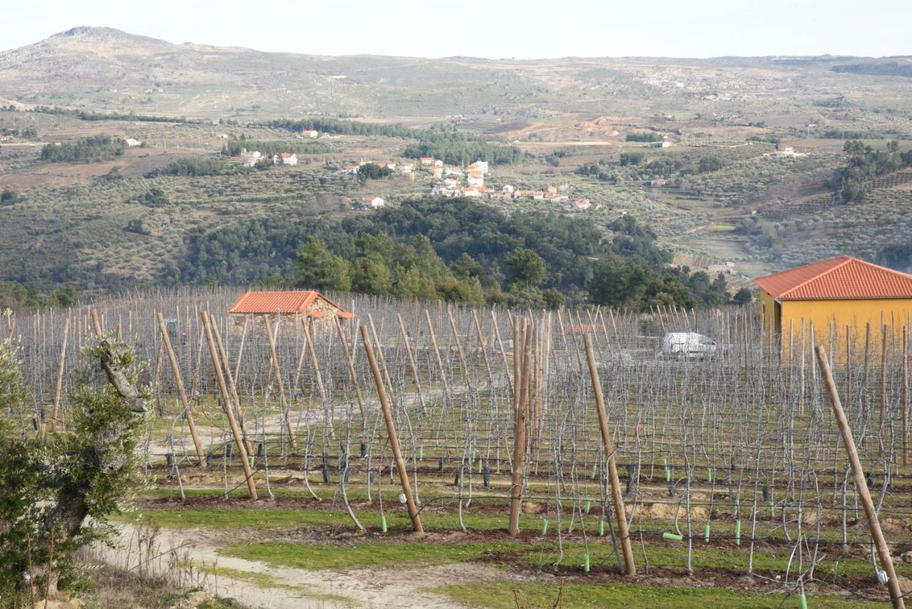 Casa Do Feitor - Douro - Quinta Da Cabrida Βίλα Sendim  Εξωτερικό φωτογραφία